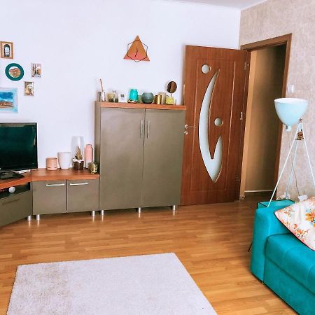 Cozy apartment Bukovina Suceava Buitenkant foto